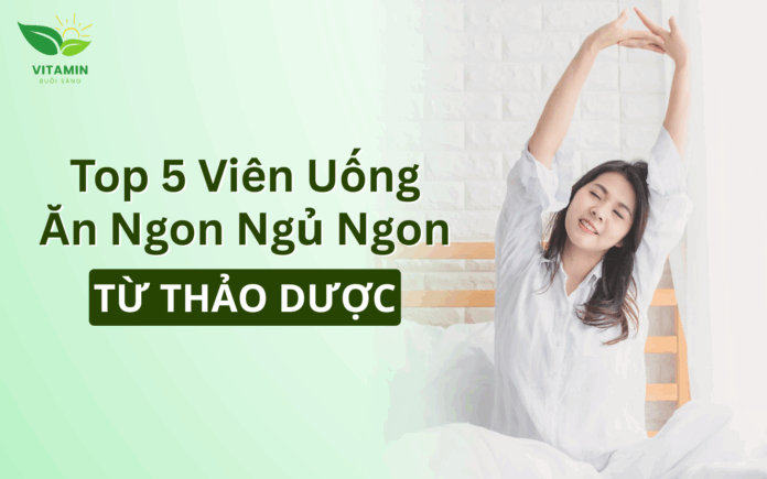 Đại diện web (1600 x 1000 px) (1) Top 5 Viên Uống Ăn Ngon Ngủ Ngon Từ Thảo Dược