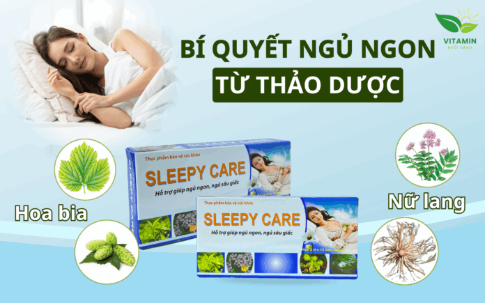 Đại diện web (1600 x 1000 px)